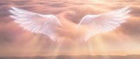 Ethereal white wings spread wide against golden clouds and heavenly light rays, symbolizing spirituality, hope, and divine protection for inspirational and wellness content.