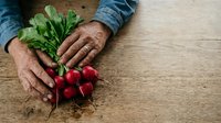 Mature male hands holding fresh red radishes with green stems on wooden surface, farmer displaying organic produce harvest.