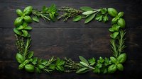 Fresh green herbs frame border on dark wooden background with basil, rosemary, sage and thyme leaves arranged in rectangle shape for culinary design.