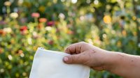 Adult hand holding blank white paper against vibrant blooming flower garden background, suitable for advertising, marketing campaigns, product promotions, and creative design projects.