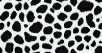 Black and white spotted animal print pattern with irregular organic shapes on white background, seamless repeat design for fashion and textile projects.