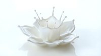 White milk splash forming crown shape with droplets frozen in motion against clean background for dairy and beverage advertising campaigns.
