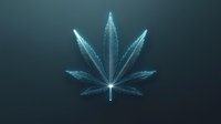 Glowing neon cannabis leaf silhouette on dark background with luminous blue light effect creates modern minimalist design element.