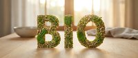 Letters BIO made from green lentils and sprouts on wooden table, natural light background, organic food and healthy lifestyle concept.