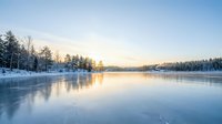Frozen lake with snow-covered forest shoreline at sunrise, golden light reflecting on ice surface, winter landscape for seasonal and nature projects.
