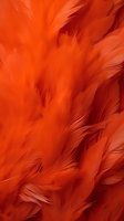Vibrant orange feathers creating a soft textured background for fashion, costume design, or nature-inspired projects.