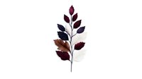 Elegant burgundy and brown watercolor botanical branch with delicate leaves on white background, isolated nature element for stationery and wall art designs.