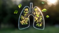 Human lungs filled with green leaves and glowing light against blurred natural background, representing breath, life, and environmental health concept.
