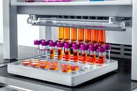 Laboratory test tubes with colorful liquid samples in automated analyzer rack. Medical research equipment showing purple and orange specimens for analysis.