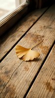 Single golden ginkgo leaf resting on weathered wooden floor planks near window with warm natural sunlight creating peaceful autumn atmosphere.
