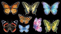 Colorful butterfly collection featuring monarch, swallowtail, morpho, and painted lady species isolated on transparent background. Ready for t-shirt designs, clipart, stickers, sublimation, and print-on-demand products.