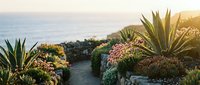 Coastal garden with succulent plants and tropical vegetation overlooking ocean at golden hour sunset creating serene landscape for relaxation and meditation.