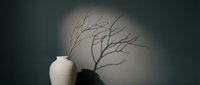 Minimalist ceramic vase with bare branches casting dramatic shadows on wall in soft natural light creating artistic home decor composition.