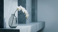 White orchid branch in clear glass vase on marble surface creating elegant minimalist home decor atmosphere for interior design and lifestyle concepts.