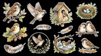 Watercolor birds collection with nests, birdhouse, eggs, and foliage. Isolated on transparent background, ready for t-shirt designs, clipart, stickers, sublimation, print-on-demand products, and digital crafts.
