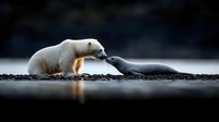 Tender moment between polar bear cub and seal pup touching noses on rocky shore at sunset, dramatic lighting creates silhouette effect against blurred background.