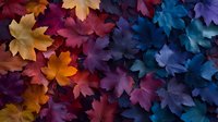 Vibrant maple leaves in gradient colors from warm orange to cool blue create dramatic autumn pattern. Natural seasonal foliage background with rich color transition.