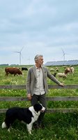 Mature Caucasian businessman in casual blazer standing with border collie dog at sustainable farm with wind turbines, solar panels and grazing cattle.