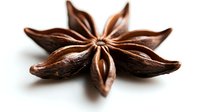 Star anise pod macro on white background shows detailed texture and natural brown color of dried spice, isolated for culinary and design projects.