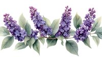 Watercolor lilac branch with delicate purple flowers and sage green leaves on white background, botanical spring floral arrangement for decorative design.