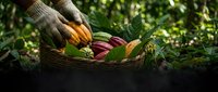 Hands in gardening gloves holding wicker basket filled with fresh organic vegetables including corn, beets, and leafy greens in sunny garden setting.