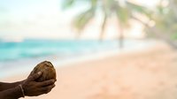 Cropped hand holding coconut on tropical beach with turquoise ocean and palm trees in background, vacation and travel concept.