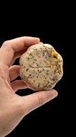 Whole grain seed ball with mixed grains and herbs isolated on transparent background, ready for clipart, print-on-demand, and design projects.