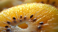 Macro shot of golden yellow mushroom cap with visible pores and water droplets, showcasing natural texture and organic detail.