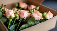 Fresh peach-colored roses with green stems and leaves nestled in brown cardboard box, romantic floral arrangement for special occasions and gift delivery.