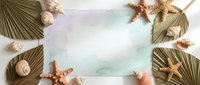 Tropical summer frame with palm leaves, seashells and starfish on white background with copy space for vacation design projects.