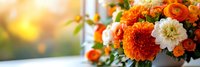 Vibrant orange and white dahlia flowers in full bloom arranged in a vase with soft golden sunlight and blurred garden background.