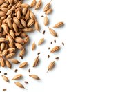 Scattered organic barley grains creating diagonal composition on white background, macro food photography with copy space for text placement.
