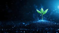 Young green sprout growing from soil against dark blue background with magical sparkles and light effects, symbolizing growth, hope and new beginnings.