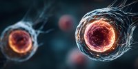 Microscopic cellular structures with glowing nuclei and membrane details for medical education, scientific research, biology textbook illustrations.