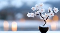 Delicate white cherry blossoms in small black ceramic vase against soft bokeh background with glowing lights, creating serene zen atmosphere for wellness and spa designs.