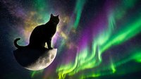 Cat silhouette sitting on moon against vibrant aurora borealis and starry night sky. Fantasy cosmic scene for mystical designs and celestial artwork.