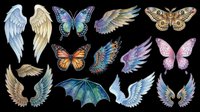 Watercolor wings and butterflies clipart set, isolated on transparent background. Includes angel wings, dragon wings, moth, and colorful butterflies for stickers, t-shirt design, and print on demand.