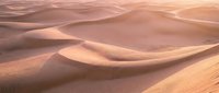 Golden sand dunes landscape with warm sunlight creating shadows and highlights across rolling desert terrain for travel and nature concepts.