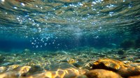 Underwater view of crystal clear water with sunlight streaming through surface, creating golden reflections on rocky seabed and rising air bubbles in turquoise depths.