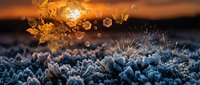 Autumn frost crystals on grass with golden sunlight and floating bubbles creating magical morning scene with bokeh effects.