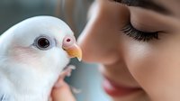 Close up portrait of young Asian woman with natural makeup and white dove touching beaks in tender moment showing connection between human and nature.