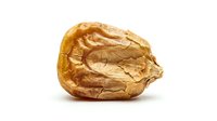 Dried golden date fruit isolated on white background, showing wrinkled texture and natural caramel tones, perfect for food and nutrition projects.