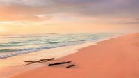 Serene sandy beach at sunset with gentle waves, driftwood logs on shore, and soft peachy-pink sky reflecting on calm ocean waters. Suitable for travel and wellness content.