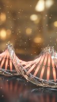 Water splashing from pink seashells with golden bokeh lights and sparkles, creating dynamic liquid motion effect for luxury and elegance designs.