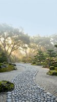 Serene Japanese zen garden with stone pathway winding through manicured landscape featuring bonsai trees and morning mist for meditation and wellness design.