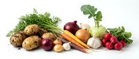 Fresh organic vegetables including potatoes, carrots, onions, radishes and herbs arranged on white background for healthy cooking and nutrition concepts.