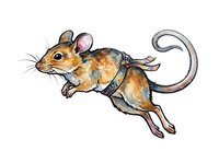 Illustrated brown mouse with pink ears wearing harness, jumping in mid-air against white background. Suitable for children's books, educational materials, and design projects.