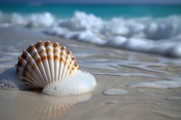 Beautiful seashell on sandy beach with ocean foam and waves, perfect for spa, wellness, or travel designs. Natural seaside composition with soft bokeh background.