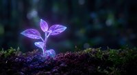 Young plant seedling with glowing purple leaves emerging from dark soil against blurred natural background for growth and nature concepts.