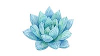 Isolated blue lotus flower with layered petals on transparent background, ready for design projects, web graphics, and print applications.